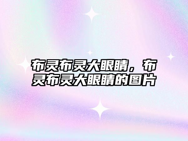 布靈布靈大眼睛，布靈布靈大眼睛的圖片