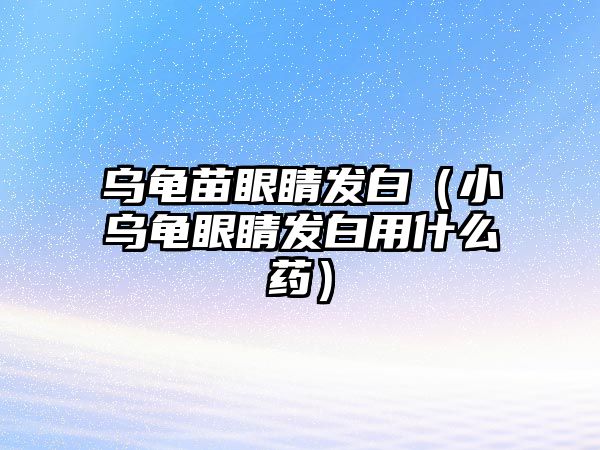 烏龜苗眼睛發白（小烏龜眼睛發白用什么藥）