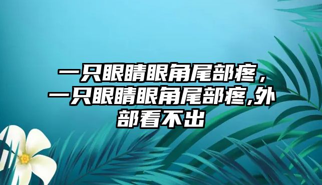 一只眼睛眼角尾部疼，一只眼睛眼角尾部疼,外部看不出