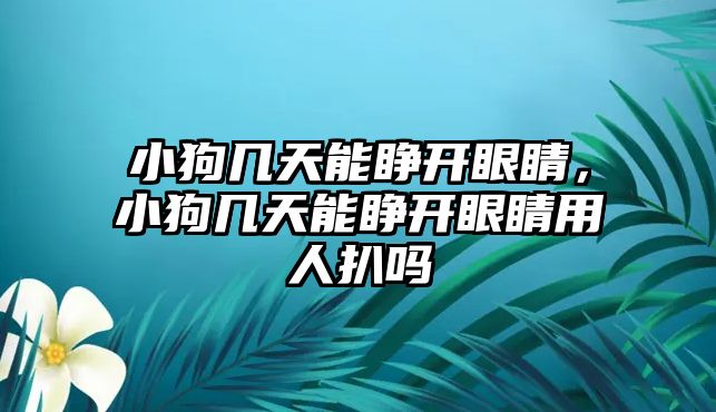 小狗幾天能睜開眼睛，小狗幾天能睜開眼睛用人扒嗎