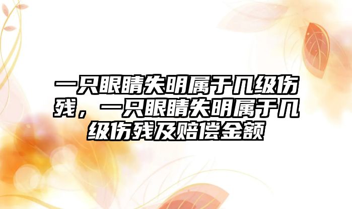 一只眼睛失明屬于幾級傷殘，一只眼睛失明屬于幾級傷殘及賠償金額