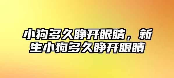 小狗多久睜開眼睛，新生小狗多久睜開眼睛