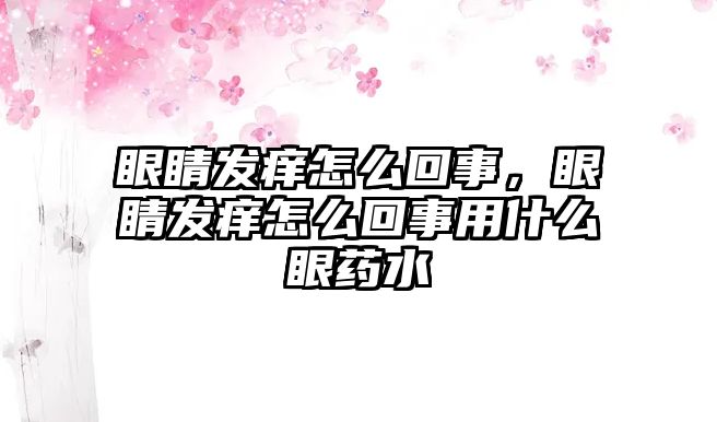 眼睛發癢怎么回事，眼睛發癢怎么回事用什么眼藥水