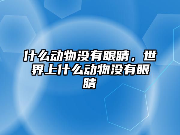 什么動物沒有眼睛，世界上什么動物沒有眼睛