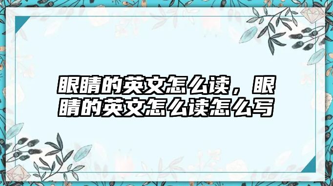 眼睛的英文怎么讀，眼睛的英文怎么讀怎么寫