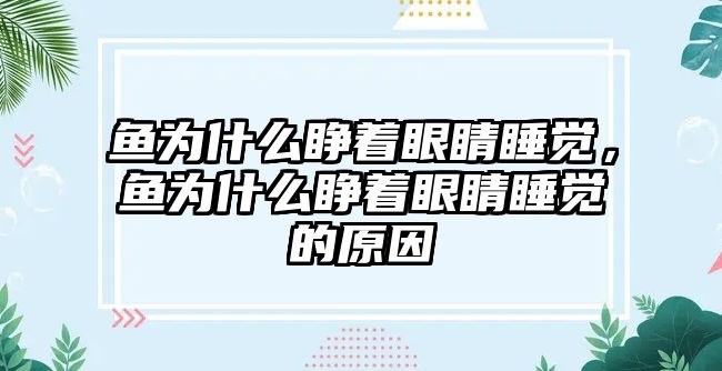 魚為什么睜著眼睛睡覺，魚為什么睜著眼睛睡覺的原因