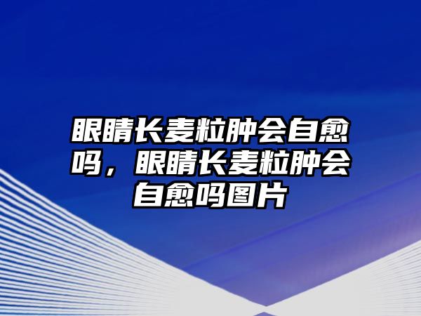 眼睛長麥粒腫會自愈嗎，眼睛長麥粒腫會自愈嗎圖片