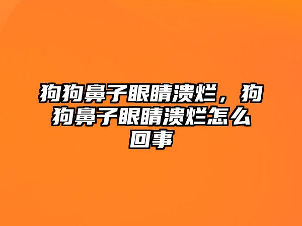 狗狗鼻子眼睛潰爛，狗狗鼻子眼睛潰爛怎么回事