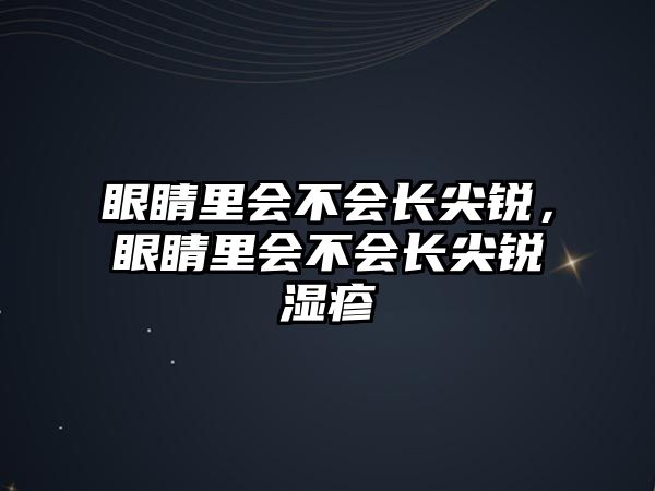 眼睛里會不會長尖銳，眼睛里會不會長尖銳濕疹