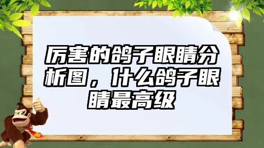 厲害的鴿子眼睛分析圖，什么鴿子眼睛最高級(jí)