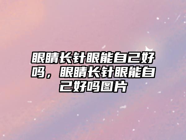 眼睛長針眼能自己好嗎，眼睛長針眼能自己好嗎圖片