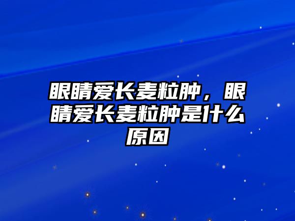 眼睛愛長麥粒腫，眼睛愛長麥粒腫是什么原因