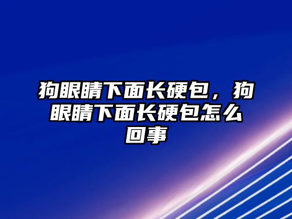 狗眼睛下面長硬包，狗眼睛下面長硬包怎么回事