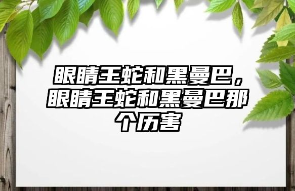 眼睛王蛇和黑曼巴，眼睛王蛇和黑曼巴那個歷害