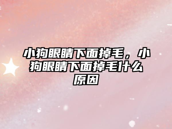 小狗眼睛下面掉毛，小狗眼睛下面掉毛什么原因