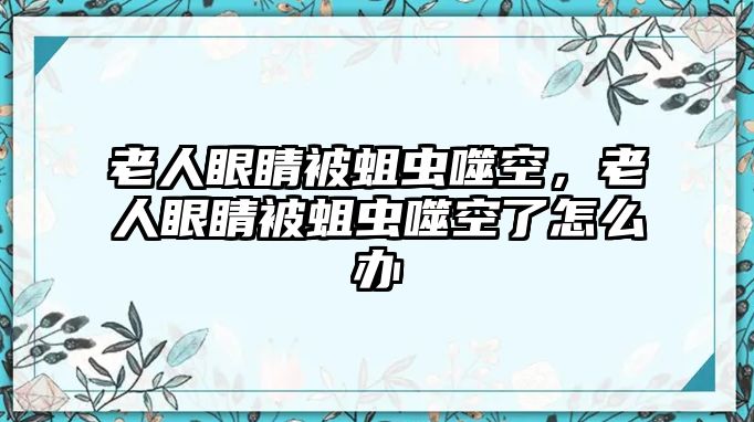 老人眼睛被蛆蟲噬空，老人眼睛被蛆蟲噬空了怎么辦