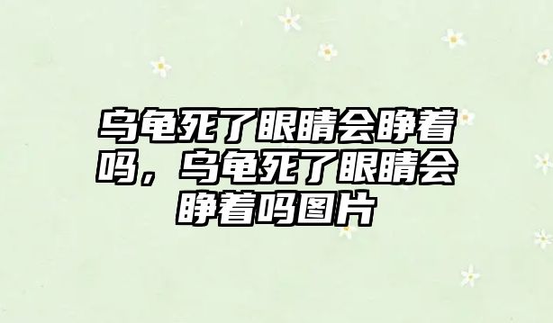 烏龜死了眼睛會睜著嗎，烏龜死了眼睛會睜著嗎圖片