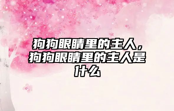 狗狗眼睛里的主人，狗狗眼睛里的主人是什么