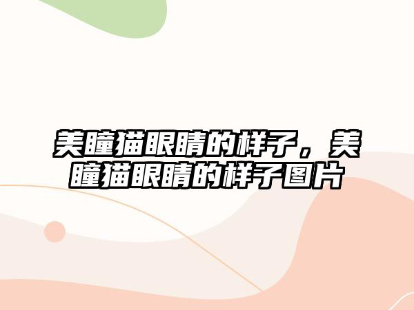 美瞳貓眼睛的樣子，美瞳貓眼睛的樣子圖片