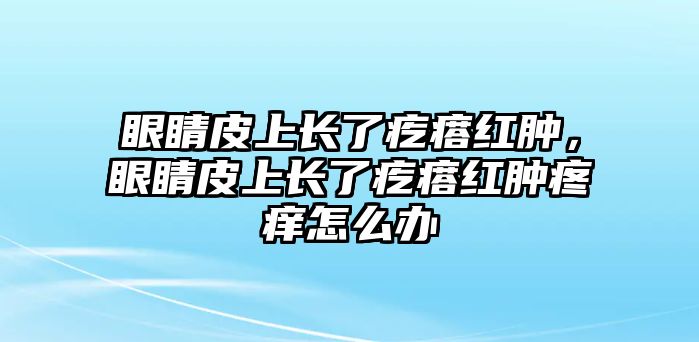 眼睛皮上長了疙瘩紅腫，眼睛皮上長了疙瘩紅腫疼癢怎么辦