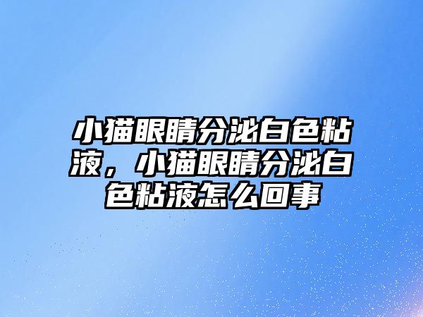 小貓眼睛分泌白色粘液，小貓眼睛分泌白色粘液怎么回事