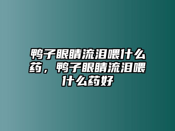 鴨子眼睛流淚喂什么藥，鴨子眼睛流淚喂什么藥好