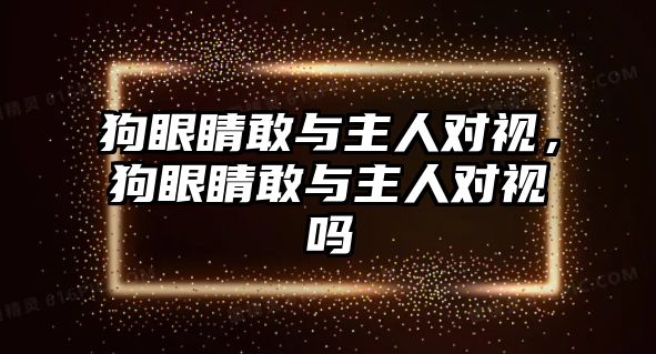 狗眼睛敢與主人對視，狗眼睛敢與主人對視嗎