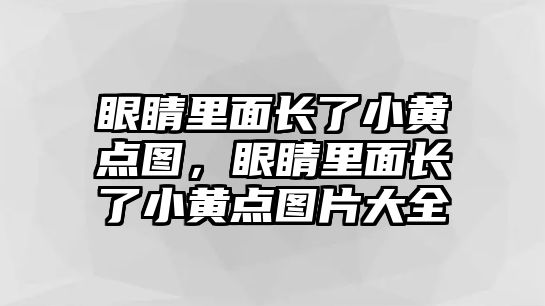 眼睛里面長了小黃點(diǎn)圖，眼睛里面長了小黃點(diǎn)圖片大全