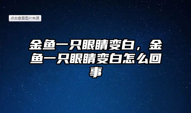 金魚一只眼睛變白，金魚一只眼睛變白怎么回事